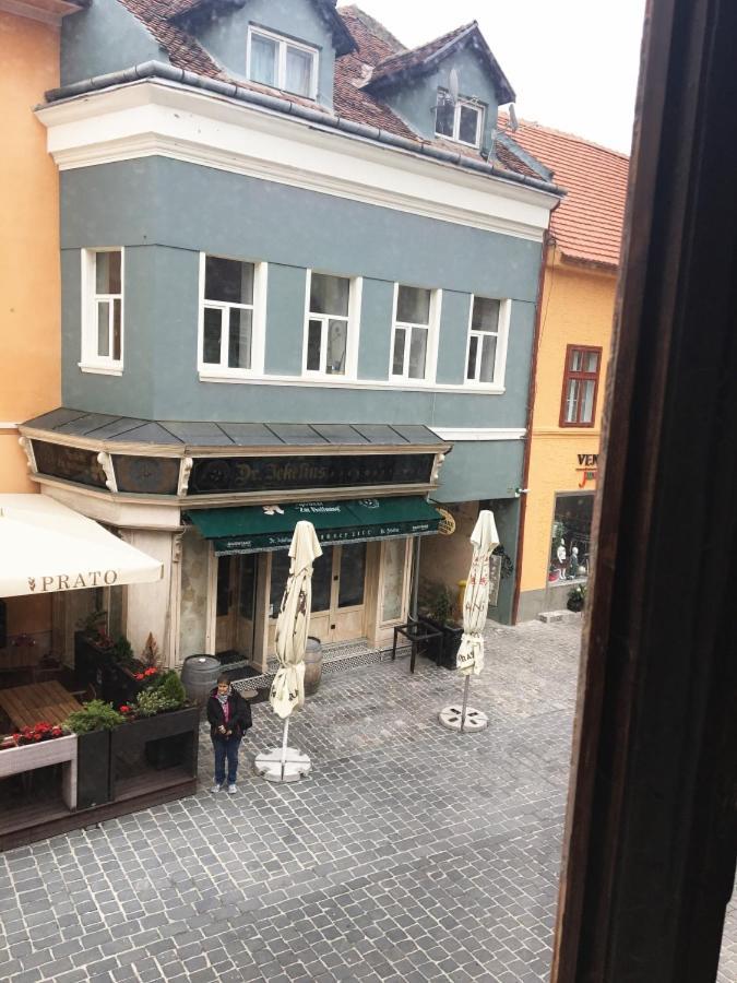Aristocrat Vintage Apartment Brasov Bagian luar foto